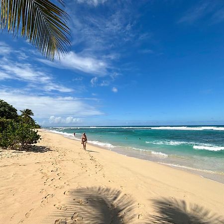 Anse-BertrandLavann Wouj - Proche Des Plages Et Du Bourg别墅 外观 照片