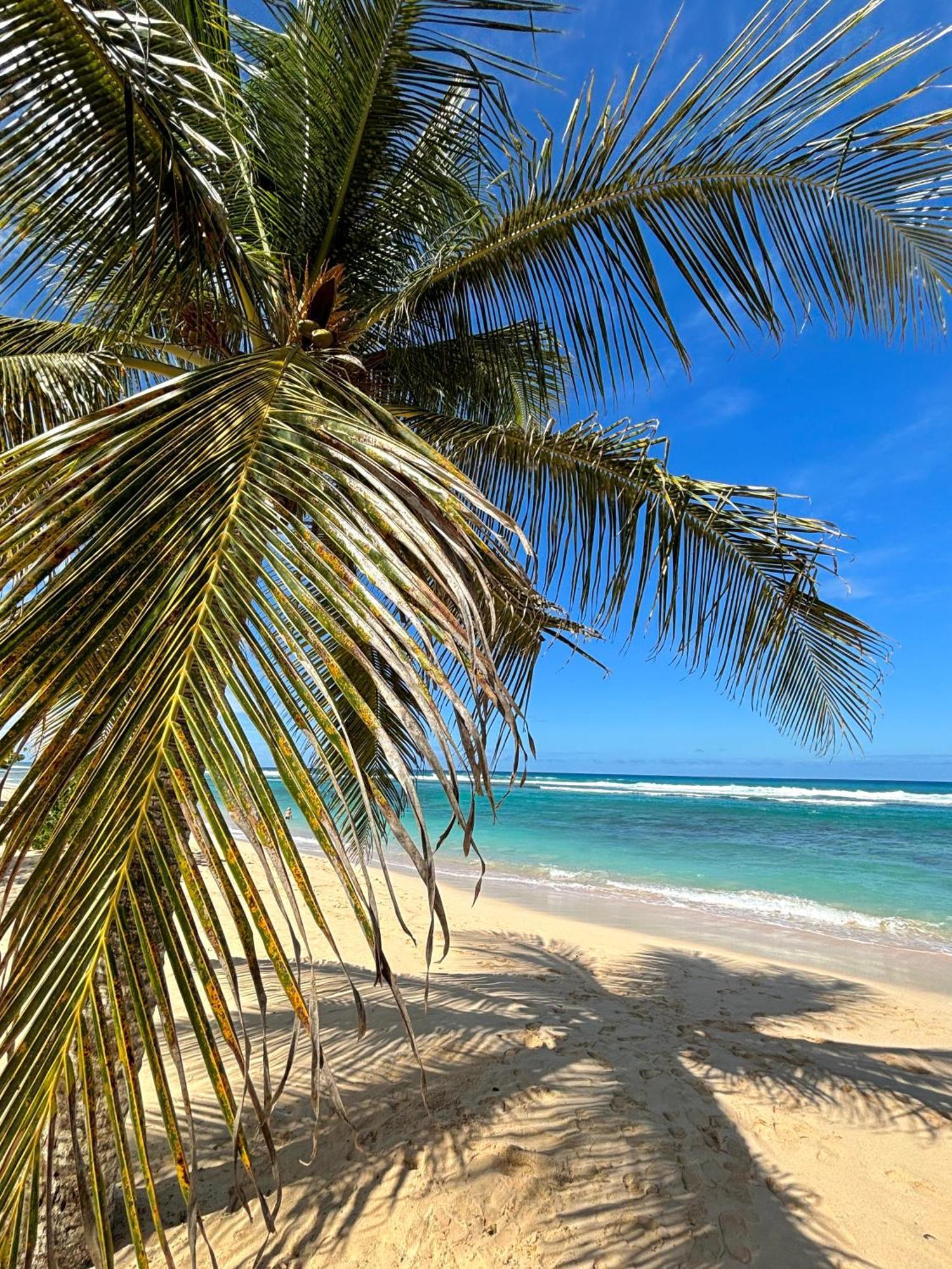 Anse-BertrandLavann Wouj - Proche Des Plages Et Du Bourg别墅 外观 照片