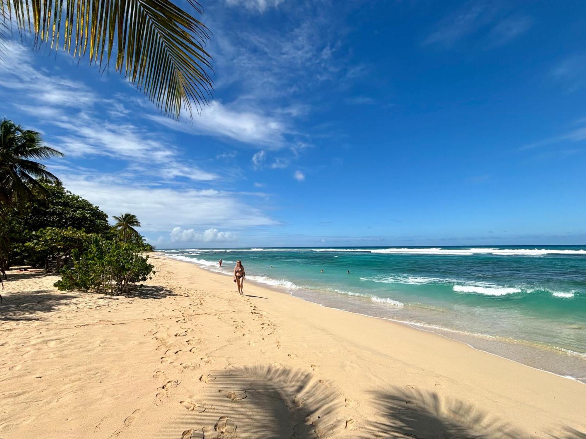 Anse-BertrandLavann Wouj - Proche Des Plages Et Du Bourg别墅 外观 照片